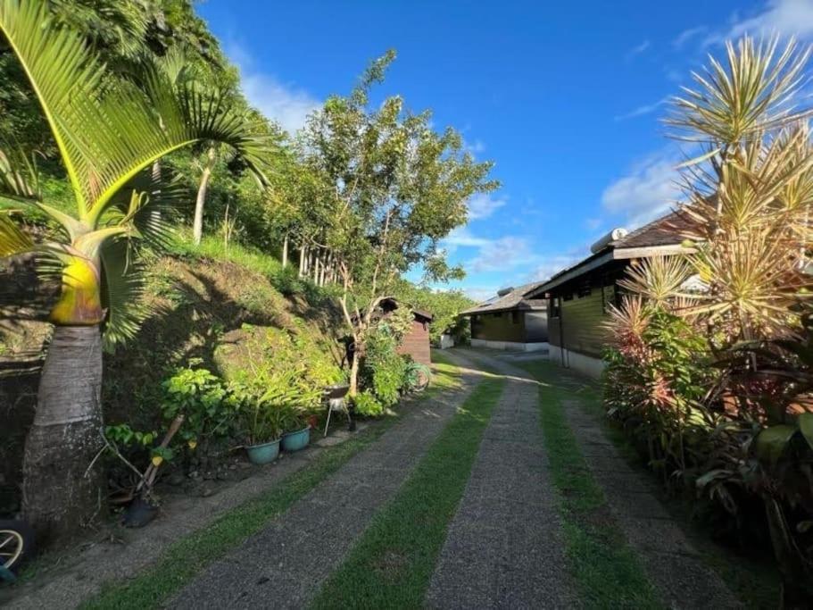 Tehuarupe Surf Studios Haapiti Ngoại thất bức ảnh
